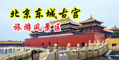 黑人狂桶女人高潮嗷嗷叫中国北京-东城古宫旅游风景区